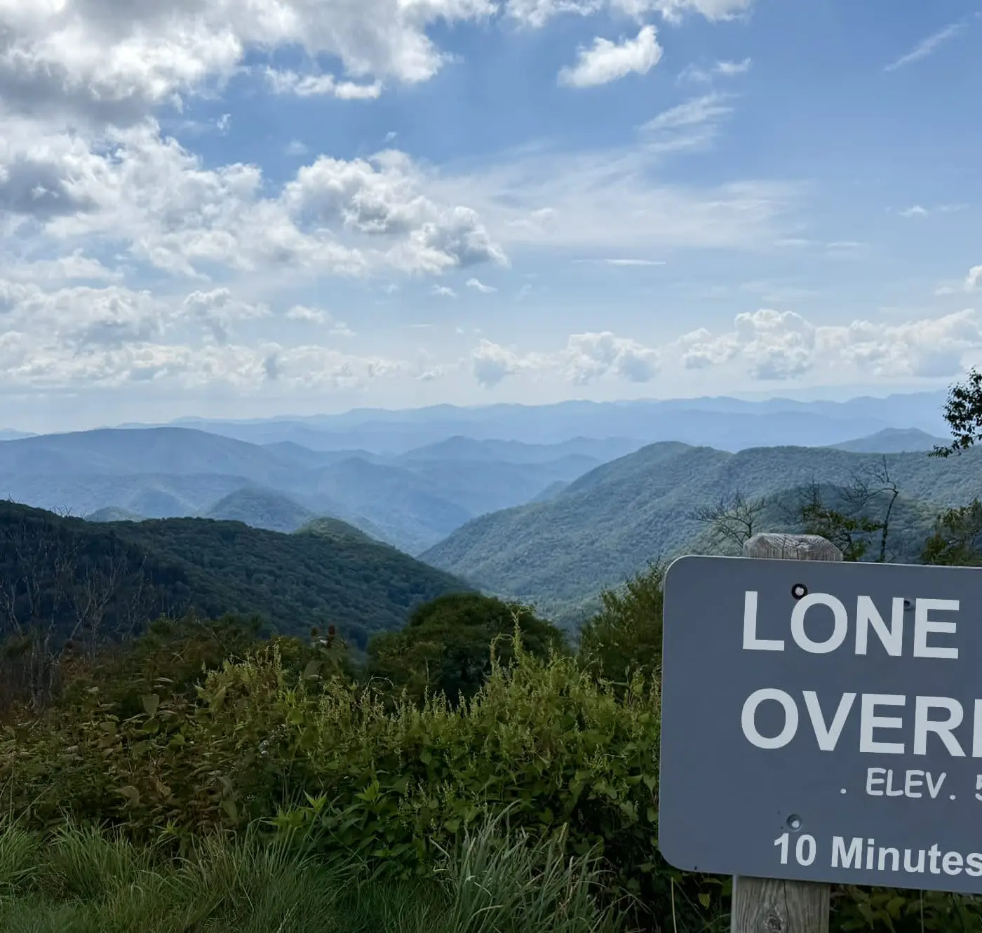 Can't Bear to Leave