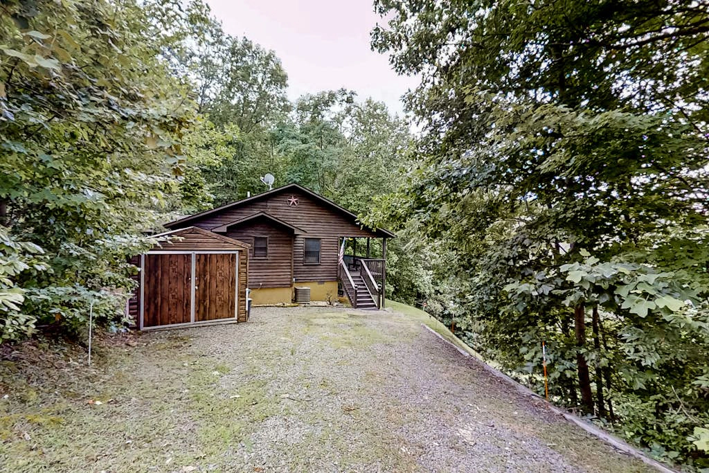 Black Bear's Den