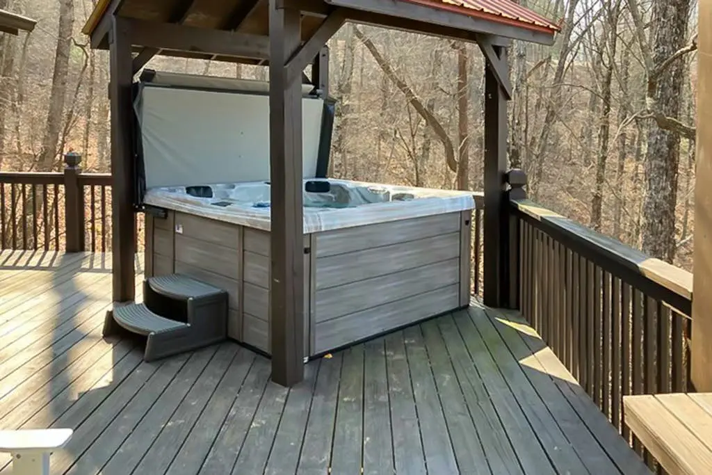 Black Bear's Den