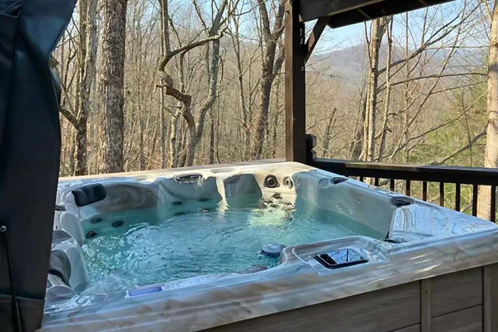 Black Bear's Den
