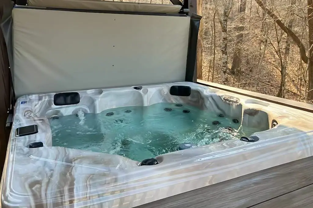 Black Bear's Den