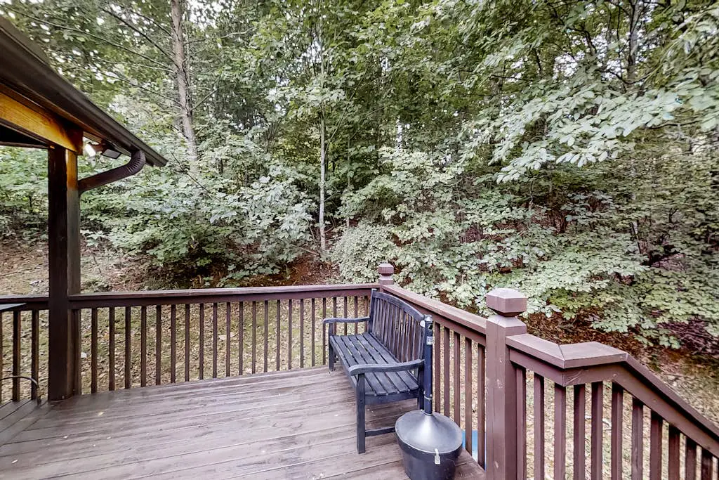 Black Bear's Den