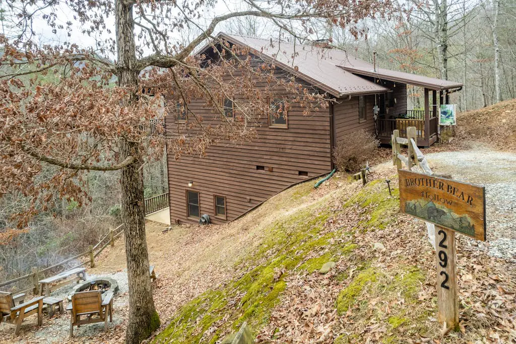 Brother Bear Hollow