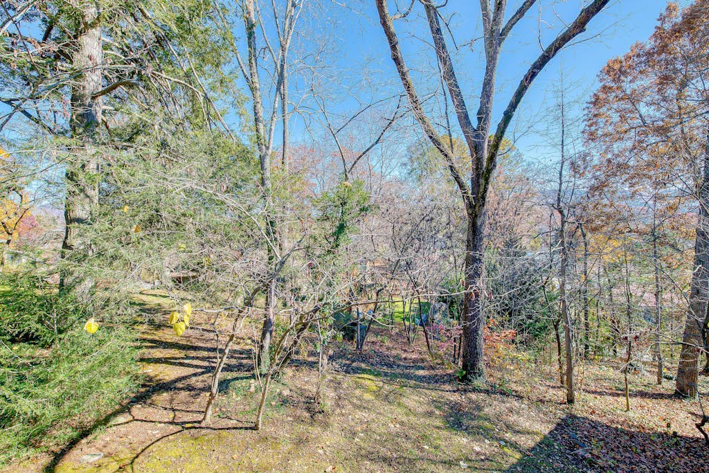 Adorable Wooded Getaway w/ Free WiFi, Shared Pool, Kitchenette & Great Location