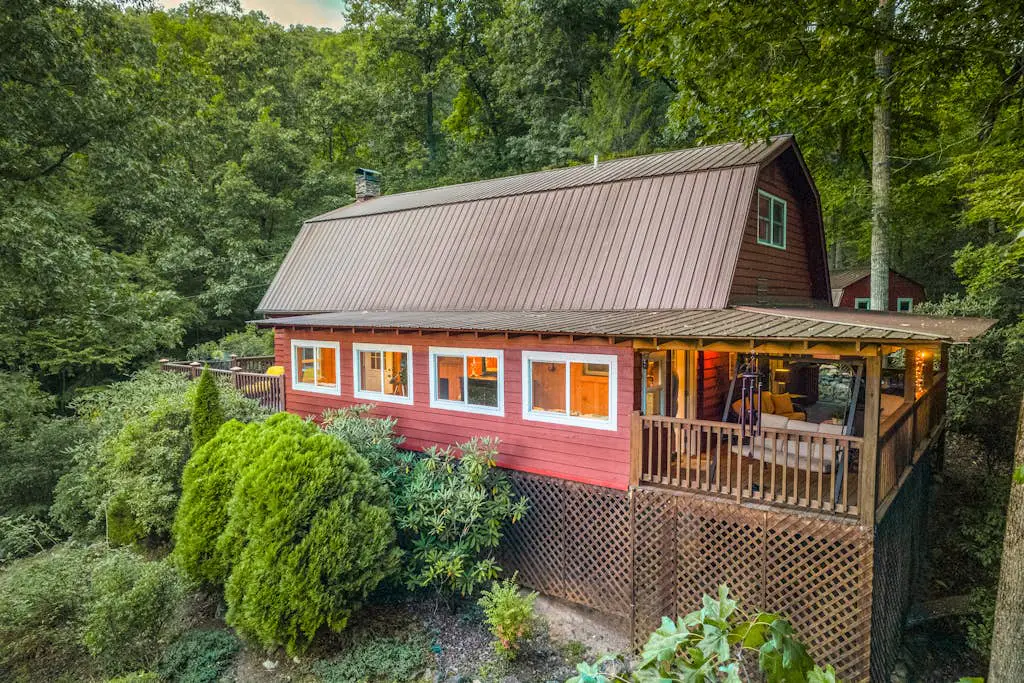 The Treehouse