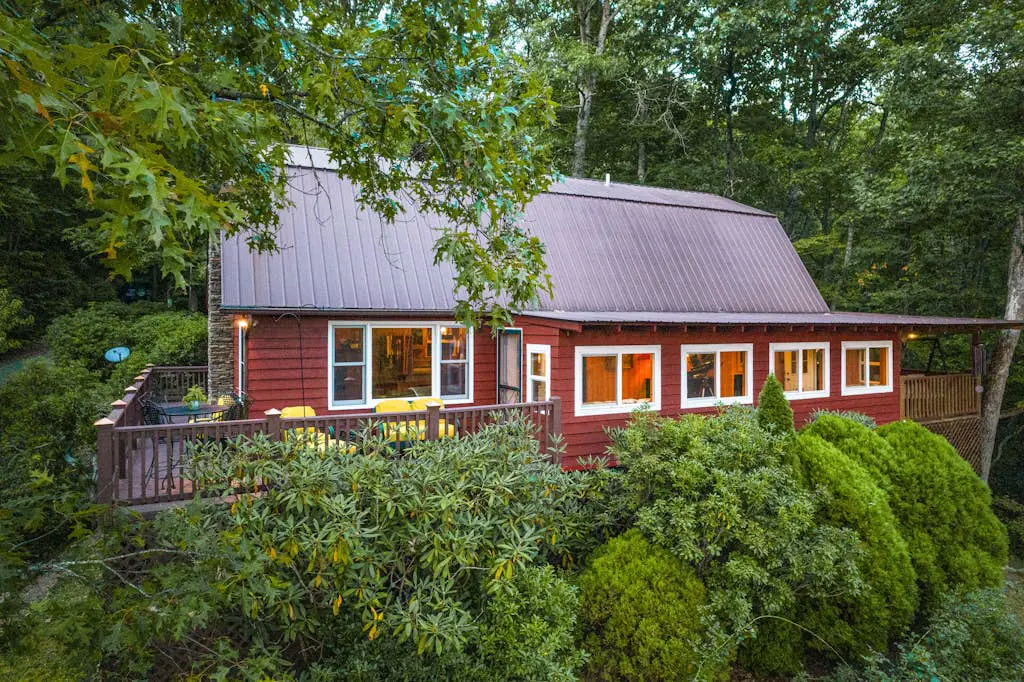 The Treehouse