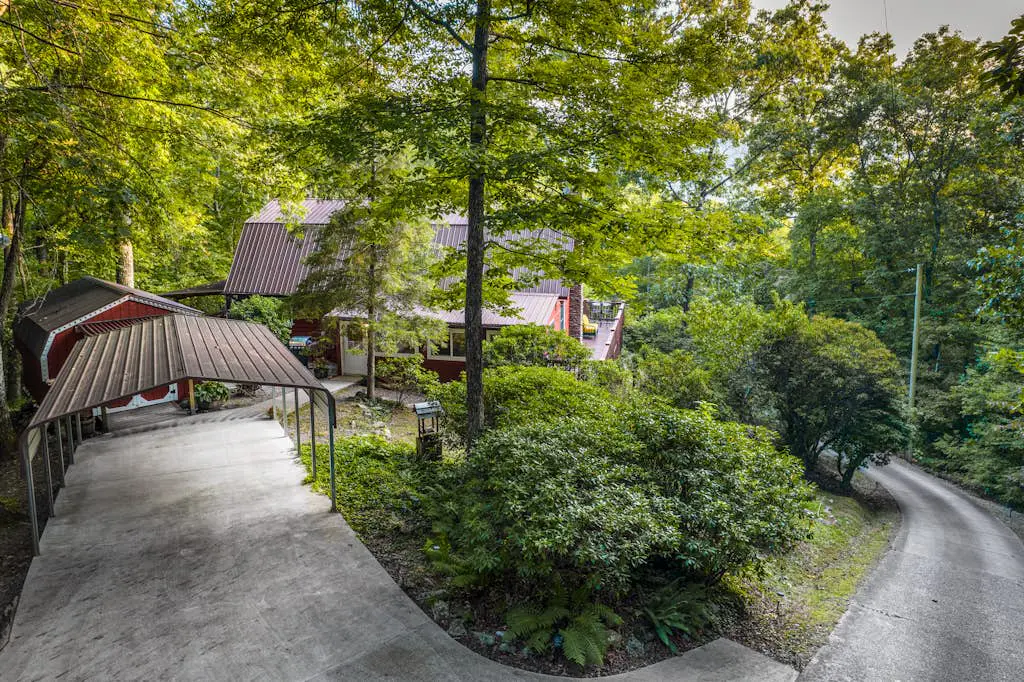 The Treehouse