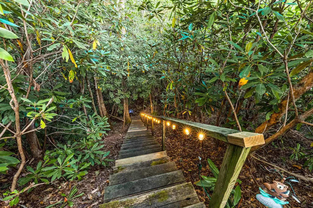 The Treehouse