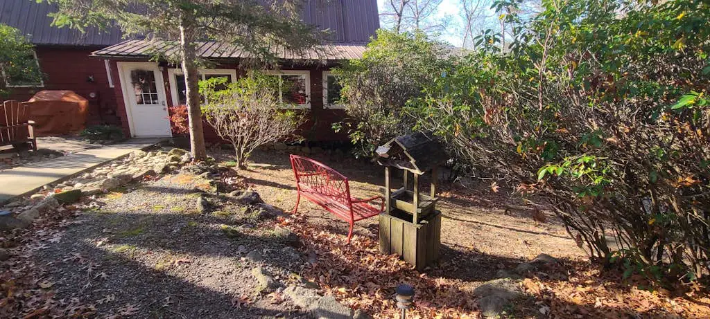 The Treehouse