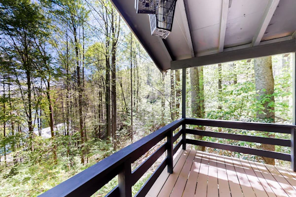 Mountainside escape with Nantahala Lake views & serene deck - dog-friendly
