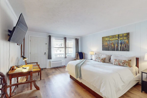 Dog-friendly lakefront condo with pool, canoes, & WiFi - in a perfect location