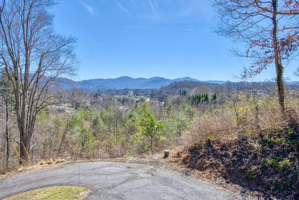 Balsam View