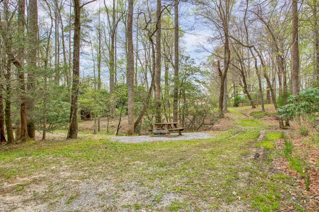 Lakefront Blue Ridge Cabin
