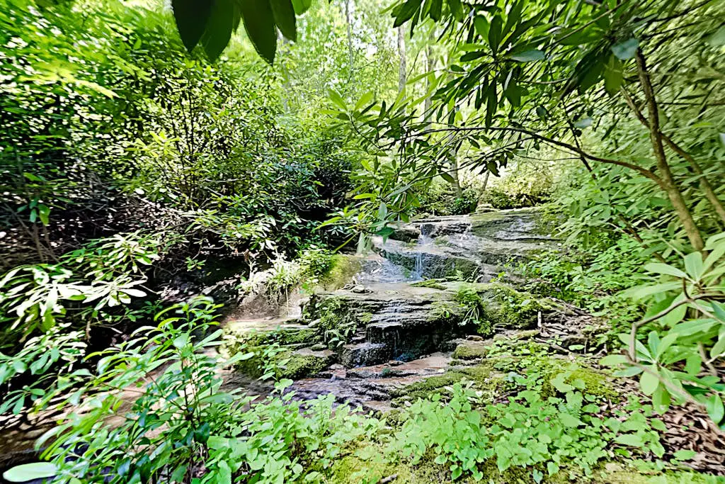 Trailside Falls