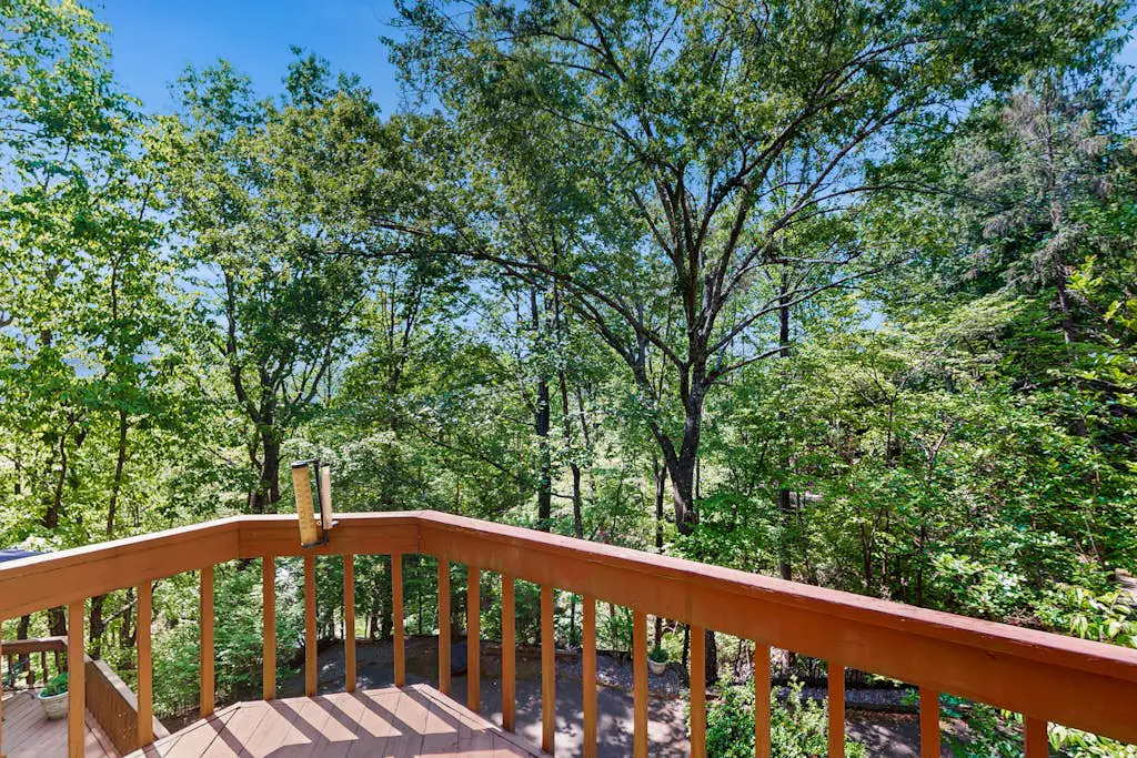 Yopp's Treehouse