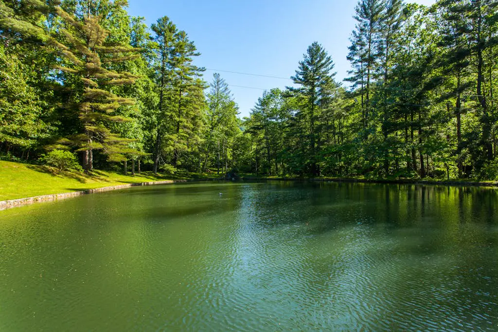 Bull Creek Peaceful Escape