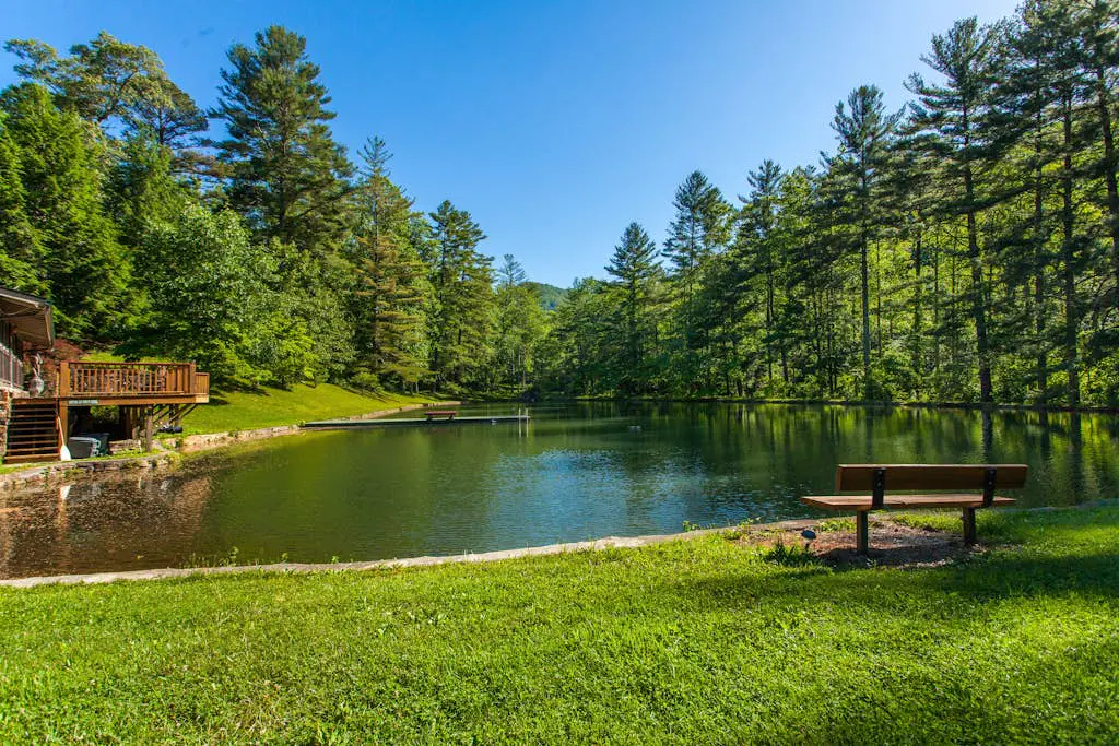 Bull Creek Peaceful Escape