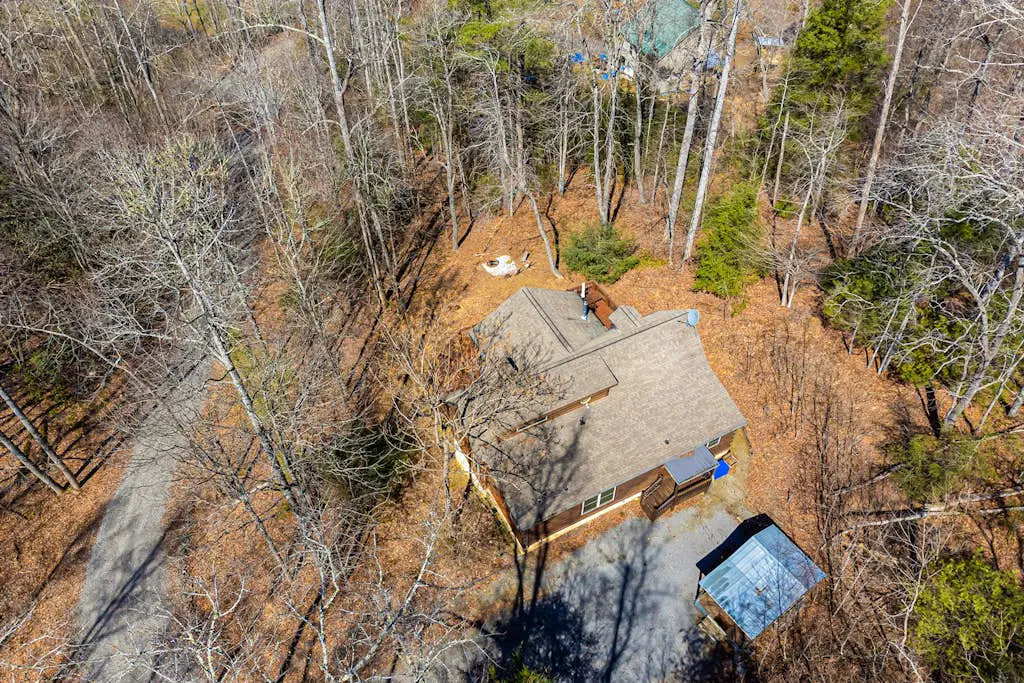 The Lovely Cabin