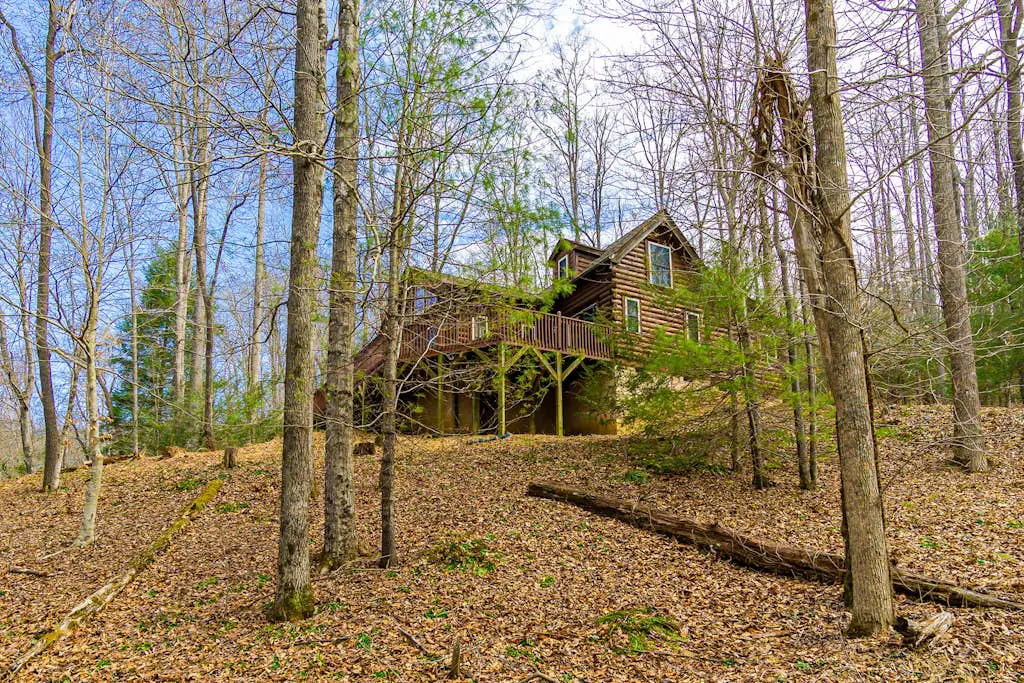 The Lovely Cabin