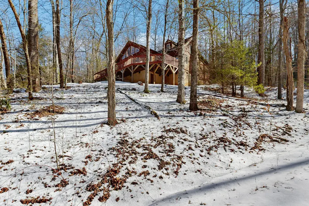 The Lovely Cabin