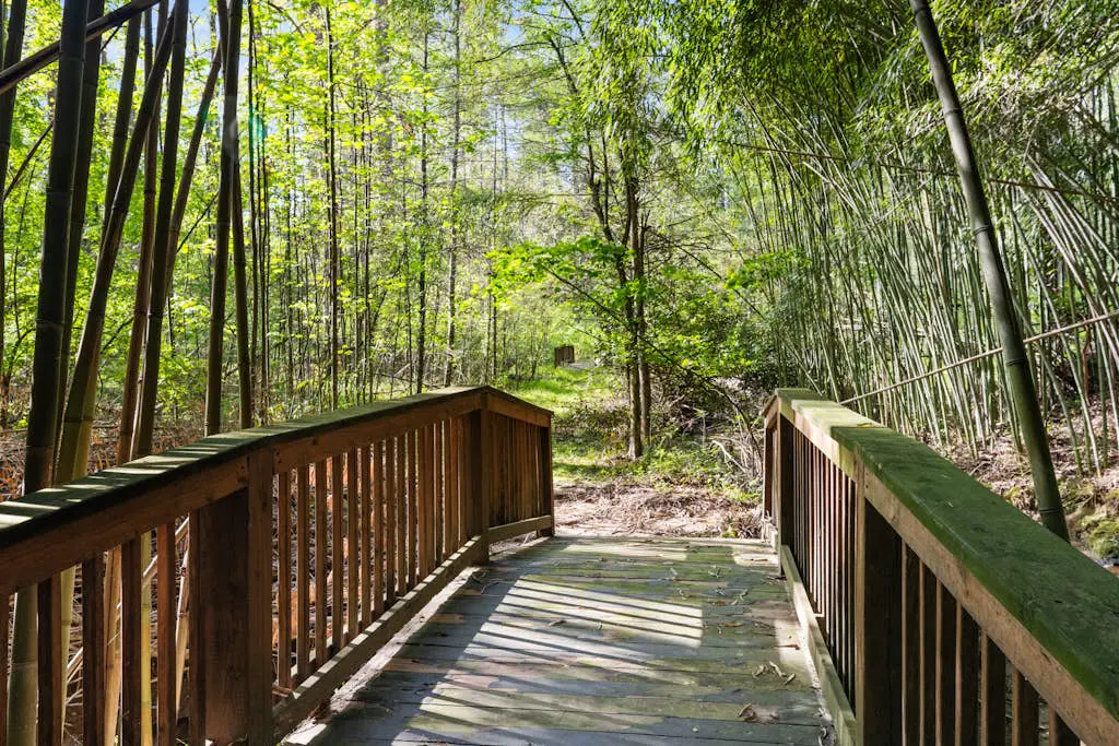 The Willows Retreat