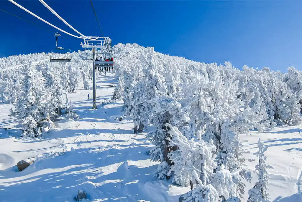 Mammoth Green 101