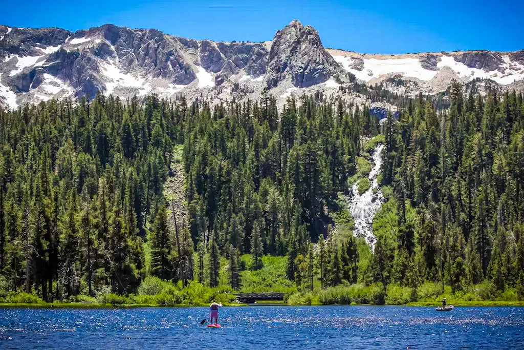 Mammoth Green 101