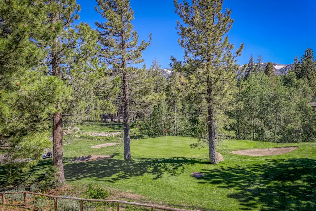 Mammoth Green 207