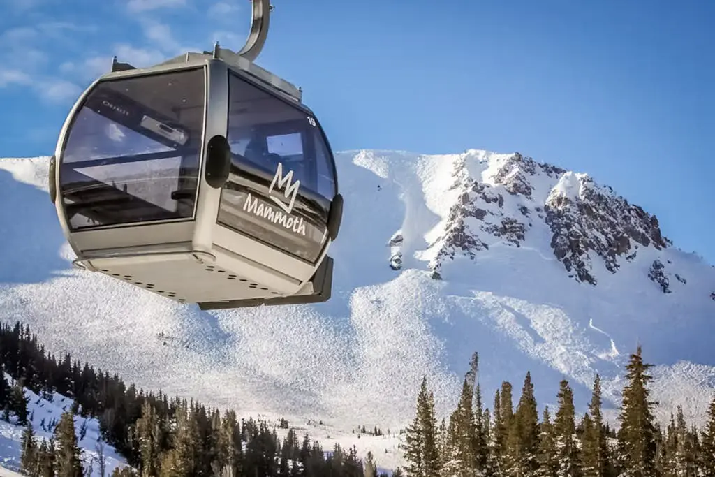 Mammoth Green 207