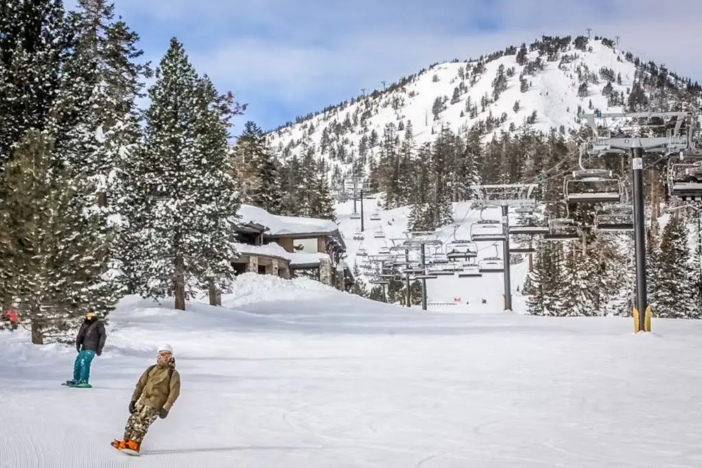 Mammoth Green 207