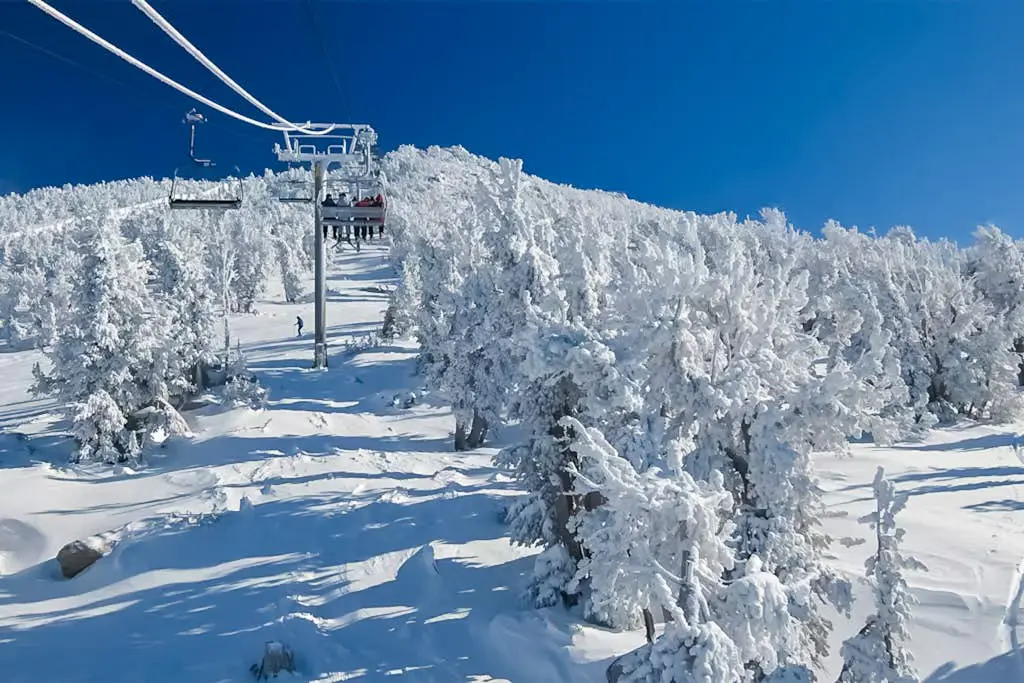 Mammoth Green 207