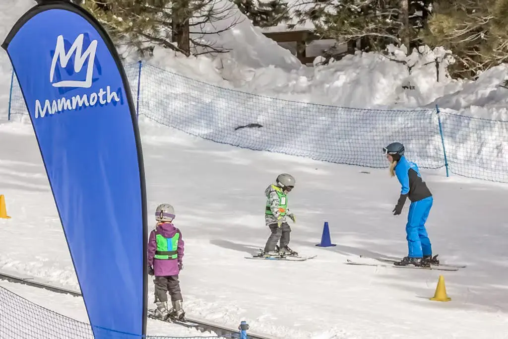 Mammoth Green 207