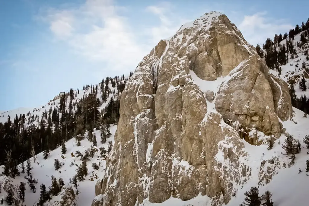Mammoth Green 207