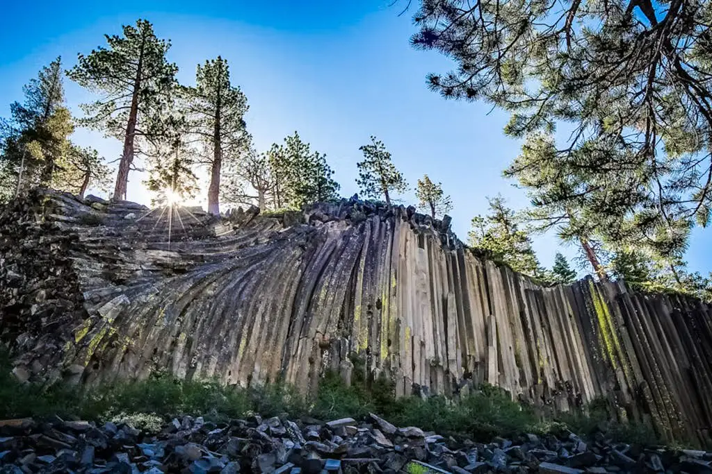 Mammoth Green 207