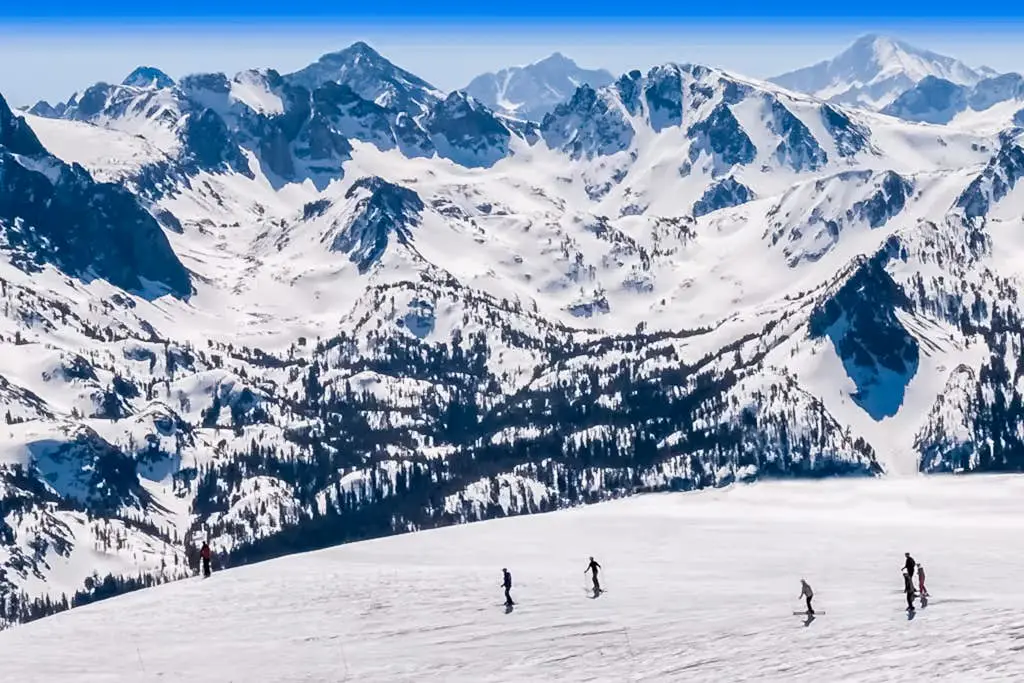 Mammoth Green 207