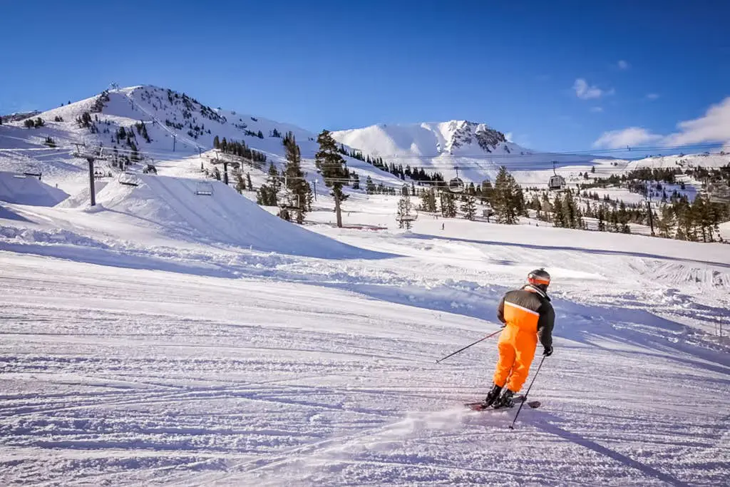Mammoth Green 207