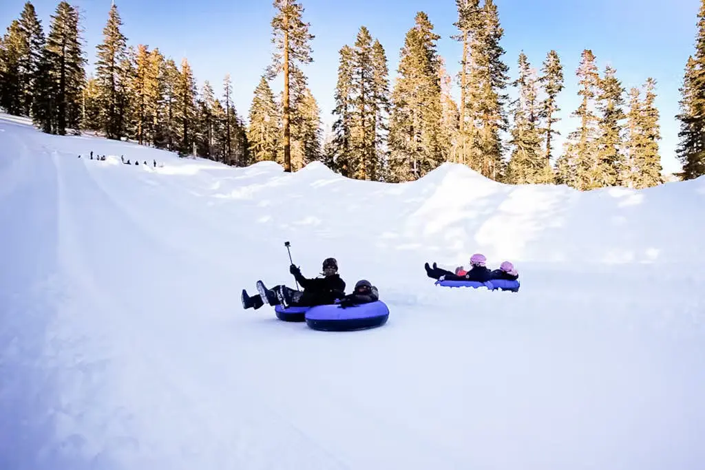 Mammoth Green 207