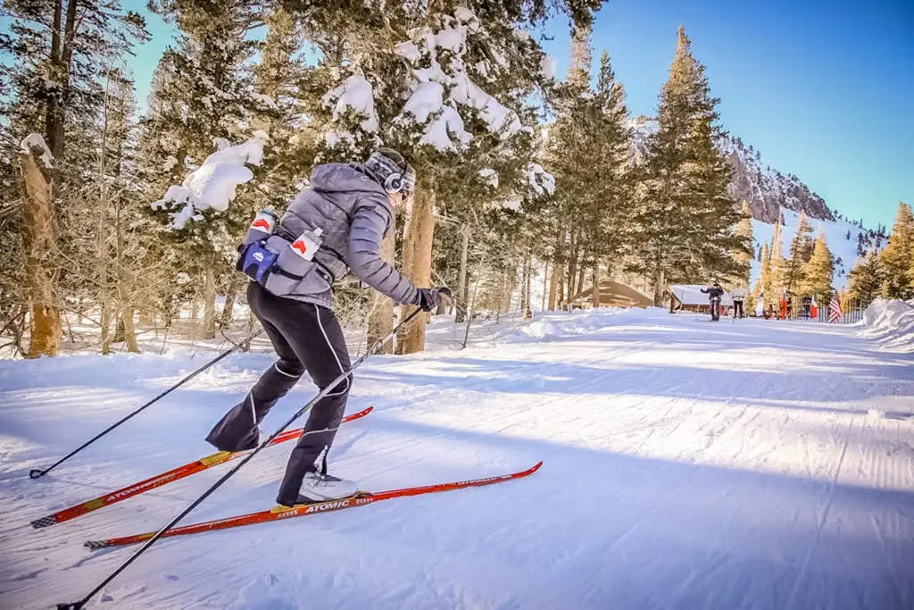 Mammoth Green 207