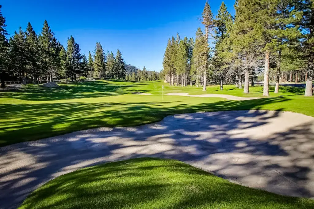 Mammoth Green 207