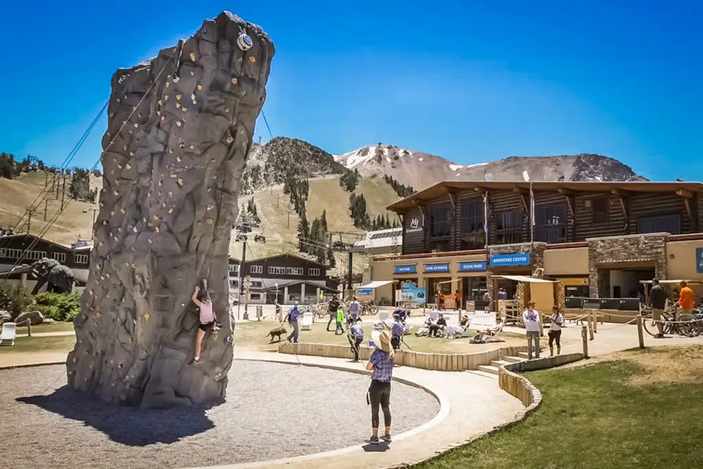 Mammoth Green 207