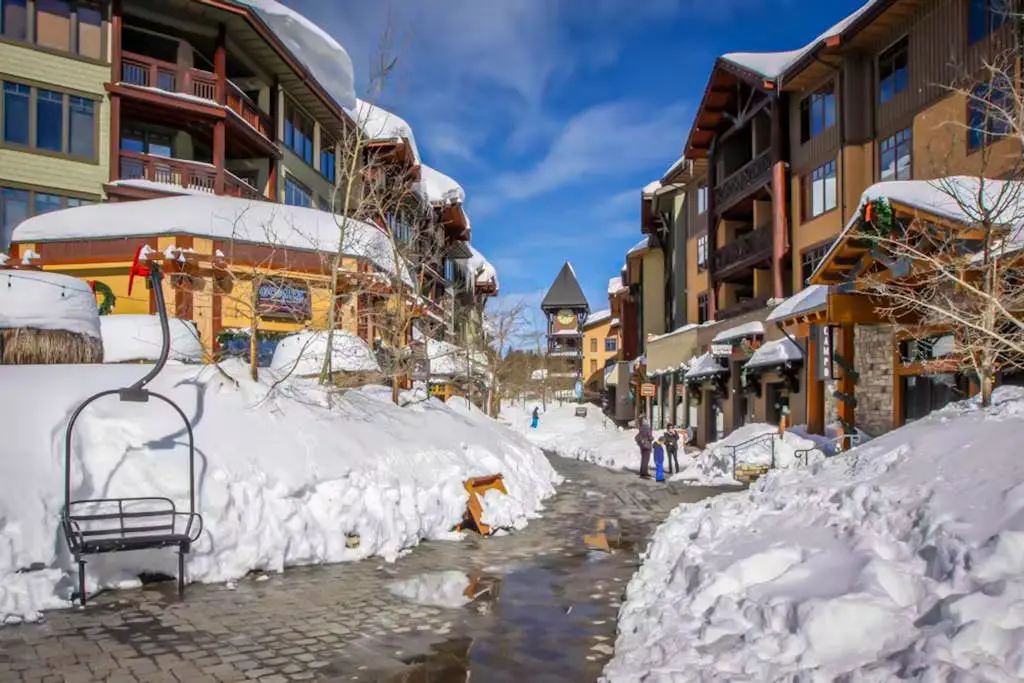 Mammoth View Villas 30