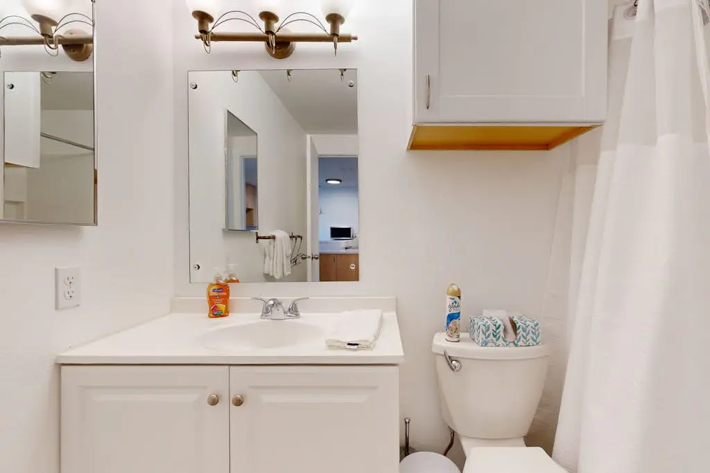 Ski Slope Condo