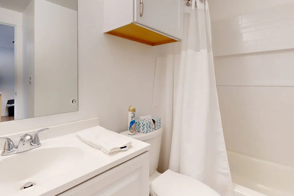 Ski Slope Condo