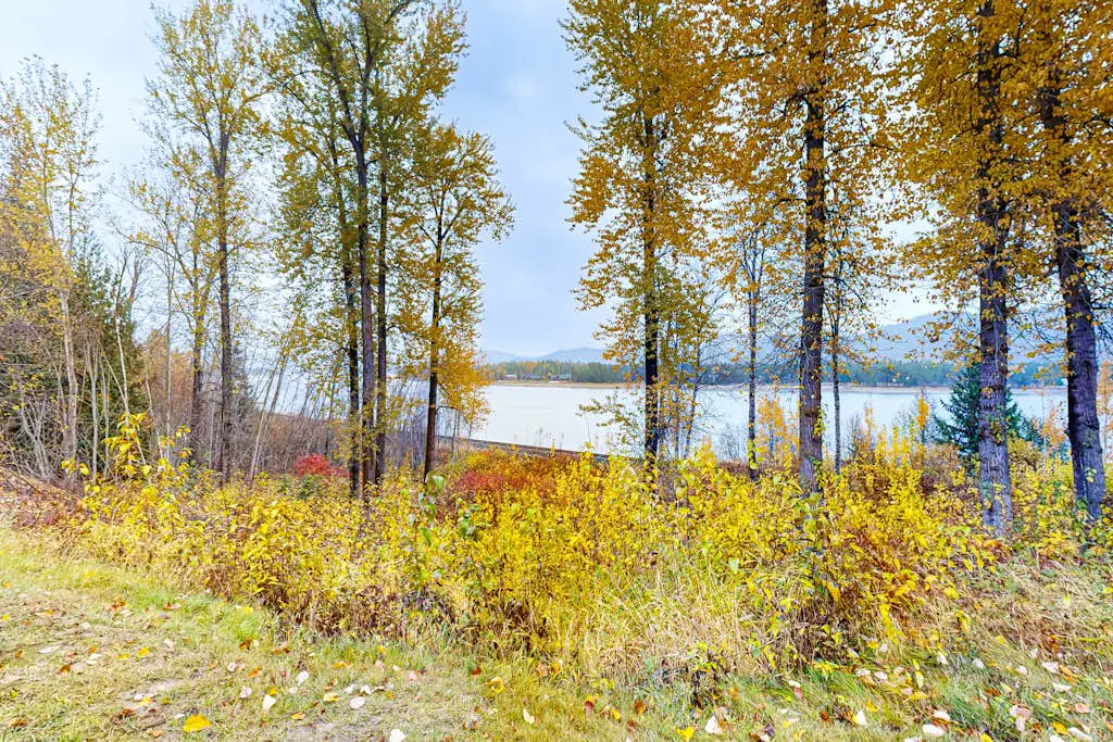 The River House