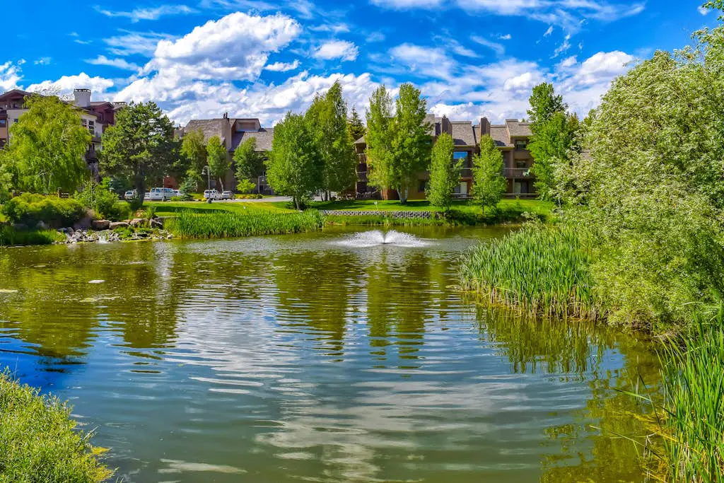 Single Level Ranch Condo in Elkhorn