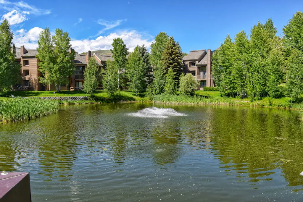 Indian Springs with a View