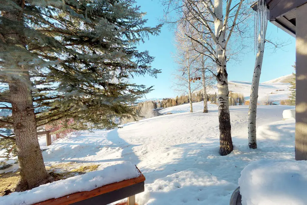 Fun In the Sun Valley