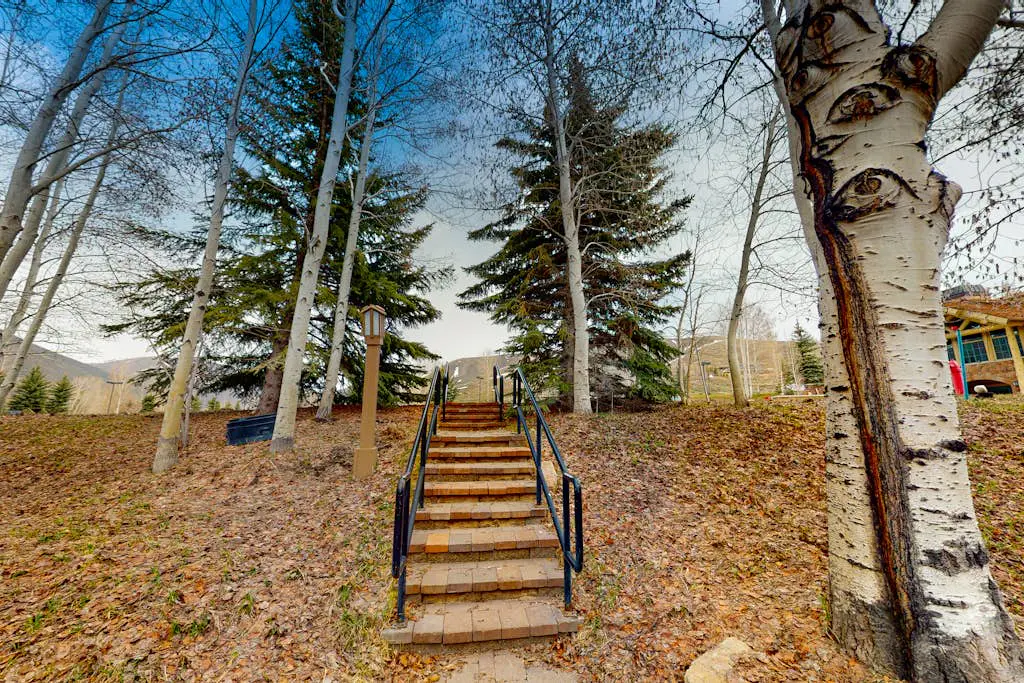 The Mountain Modern Escape