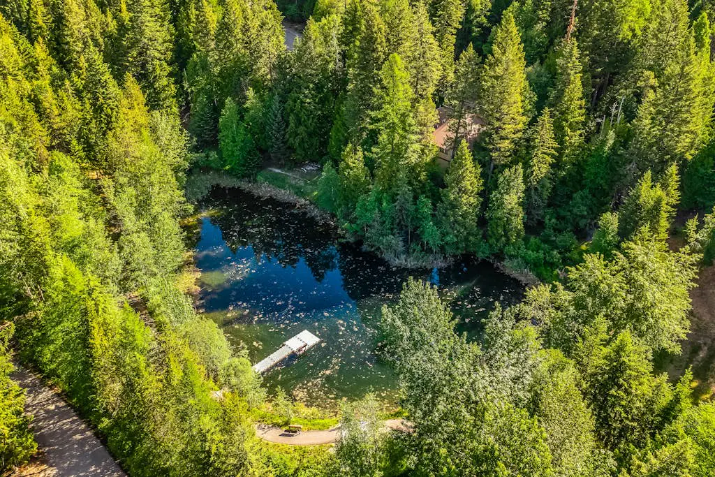 Lost Trail 101