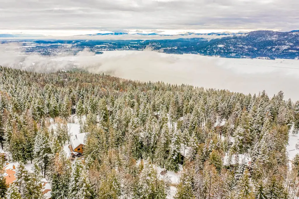 Whitefish Escape
